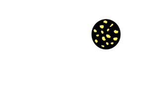 IRC White Logo